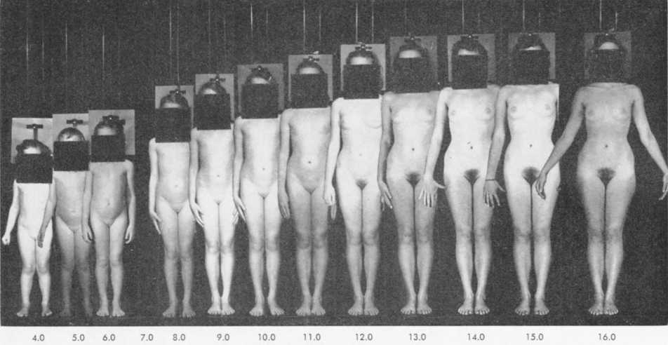 图1,4到16岁的女性