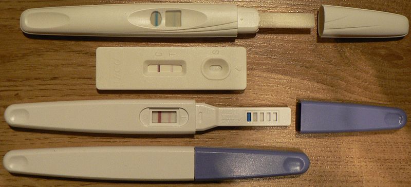 图 13, 验孕棒,一种检测怀孕的器具,形状像一根笔,外观扁平,有一观察区域显示测试结果。